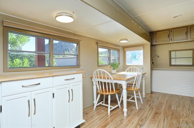 10795 County Road 197a Unit 6, Nathrop, CO 81236 - dining space with light wood-style floors and plenty of natural light