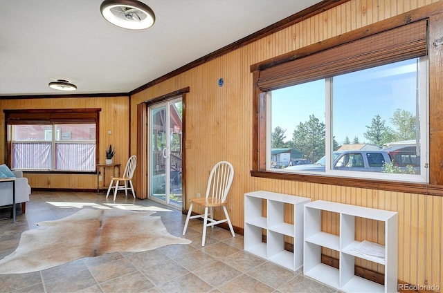 10795 County Road 197a Unit 6, Nathrop, CO 81236 - living area with crown molding and wood walls