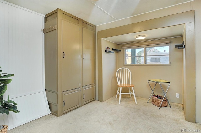 10795 County Road 197a Unit 6, Nathrop, CO 81236 - sitting room with light carpet