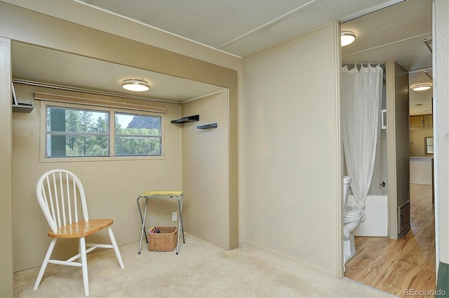 10795 County Road 197a Unit 6, Nathrop, CO 81236 - view of sitting room