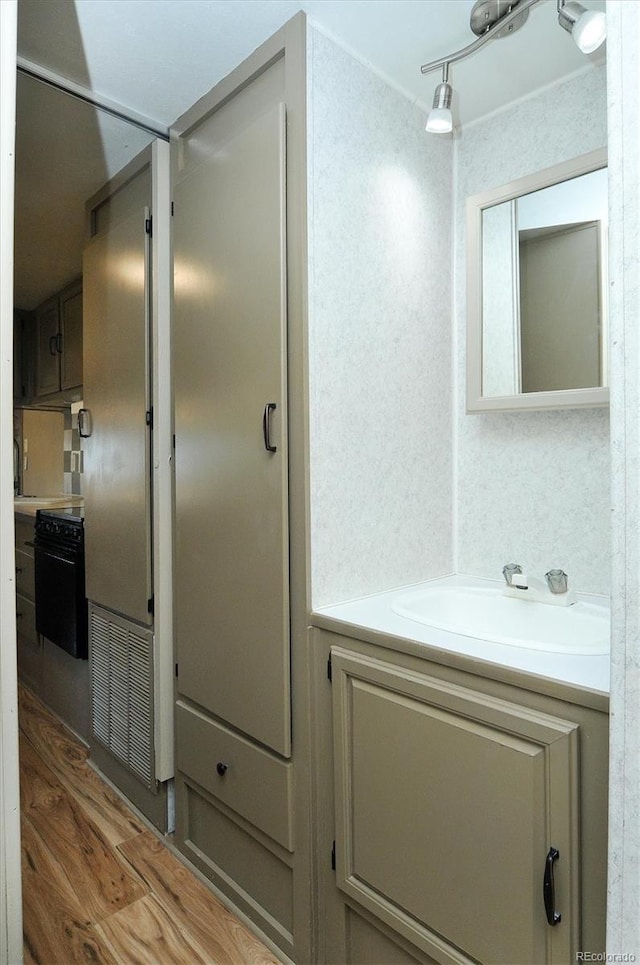 10795 County Road 197a Unit 6, Nathrop, CO 81236 - bathroom with vanity and wood finished floors