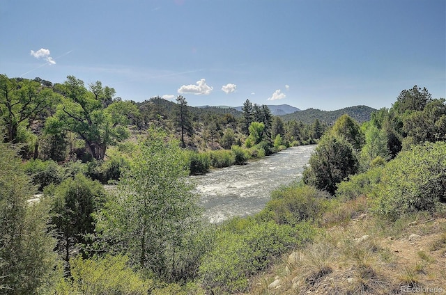 10795 County Road 197a Unit 6, Nathrop, CO 81236 - mountain view