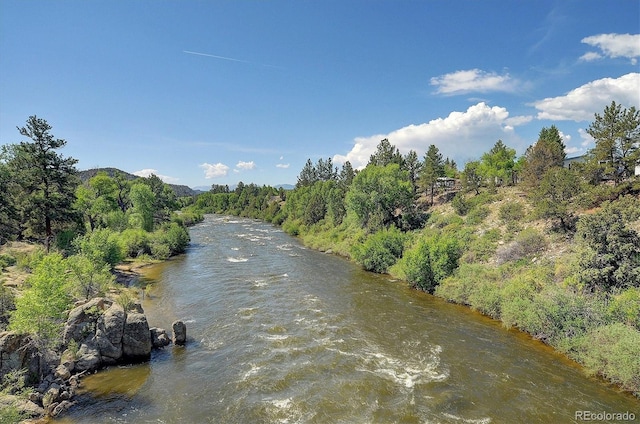 10795 County Road 197a Unit 6, Nathrop, CO 81236 - water view