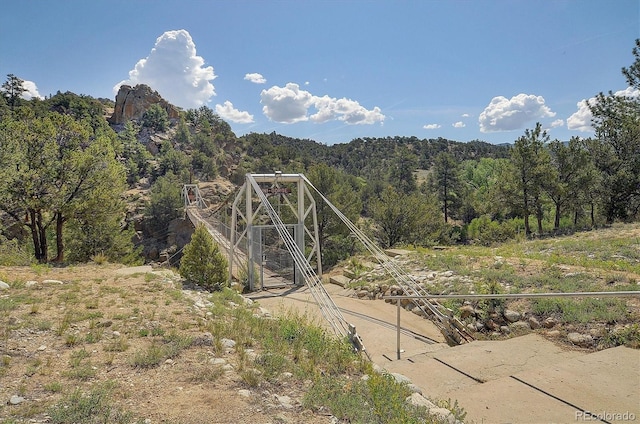 10795 County Road 197a Unit 6, Nathrop, CO 81236 - mountain view with a heavily wooded area
