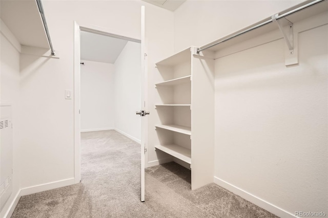 9185 Wilde Ln Unit 301, Parker, CO 80134 - walk in closet with light carpet