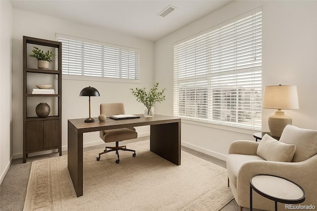 9185 Wilde Ln Unit 301, Parker, CO 80134 - home office with light carpet and baseboards
