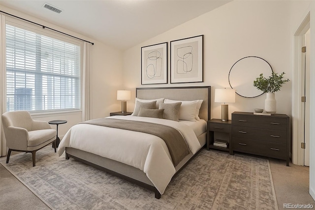 9185 Wilde Ln Unit 301, Parker, CO 80134 - bedroom with light carpet, multiple windows, and vaulted ceiling