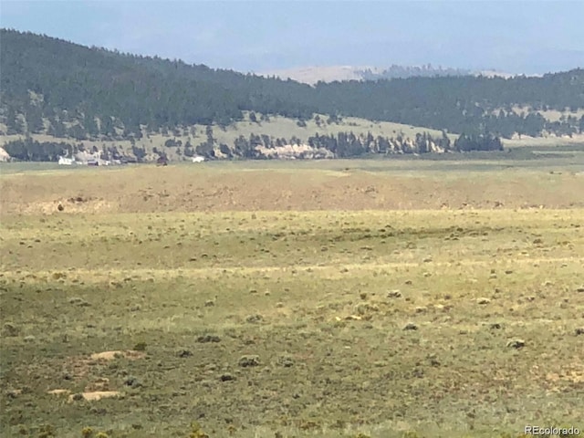 000 Hardwood Loop, Hartsel, CO 80449 - photo 2