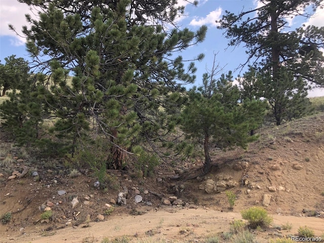000 Hardwood Loop, Hartsel, CO 80449 - photo 4