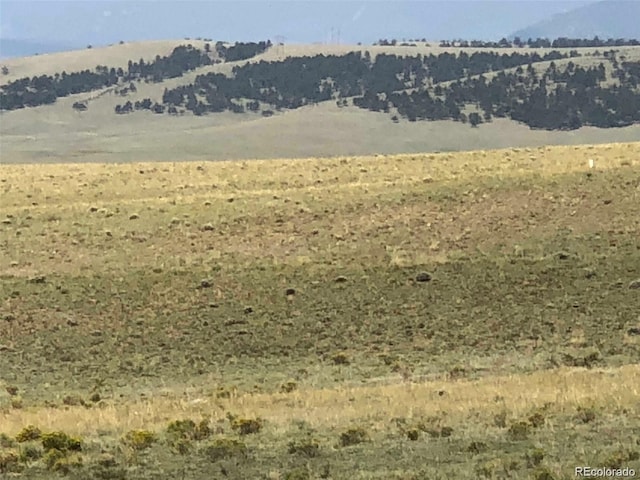 000 Hardwood Loop, Hartsel, CO 80449 - photo 5