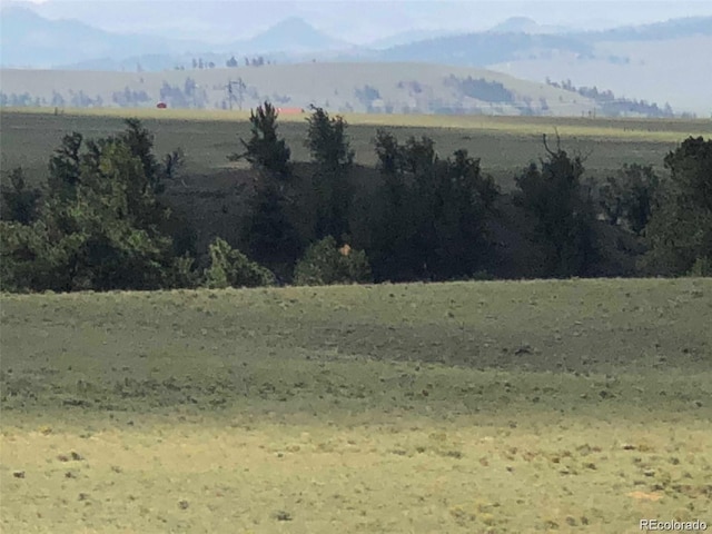 000 Hardwood Loop, Hartsel, CO 80449 - photo 6
