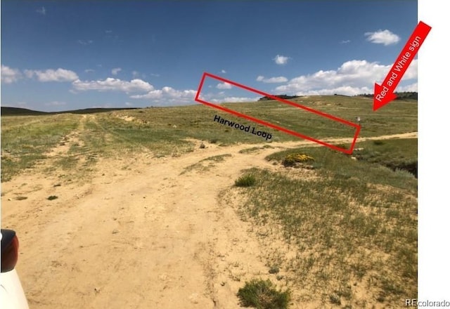 000 Hardwood Loop, Hartsel, CO 80449 - photo 8
