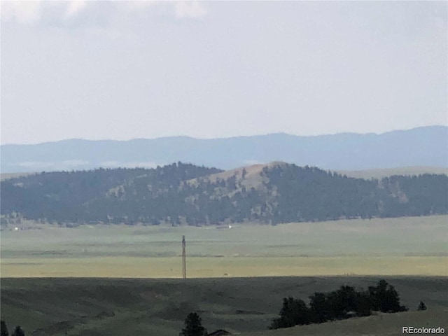 000 Hardwood Loop, Hartsel, CO 80449 - photo 12