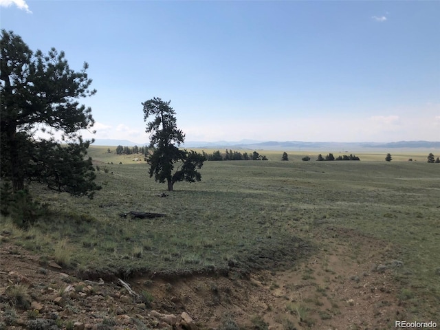 000 Hardwood Loop, Hartsel, CO 80449 - photo 14