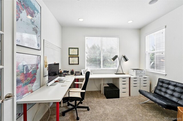 11985 Singing Winds St, Parker, CO 80138 - home office featuring carpet