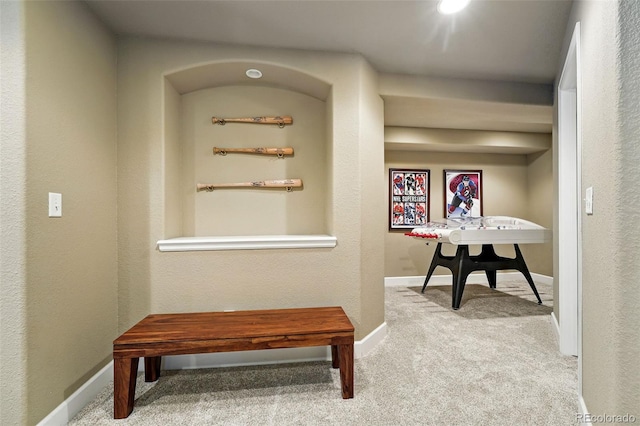 11985 Singing Winds St, Parker, CO 80138 - hall featuring carpet flooring and baseboards