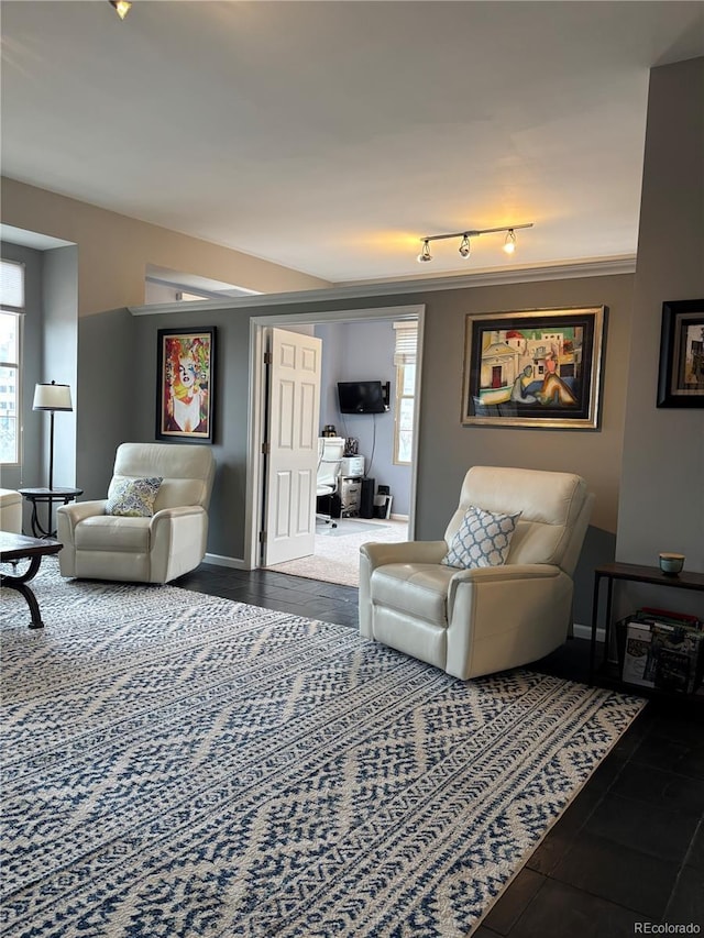 living room with baseboards