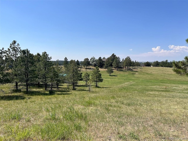 11921 Bear Creek Dr, Franktown, CO 80116 - photo 7