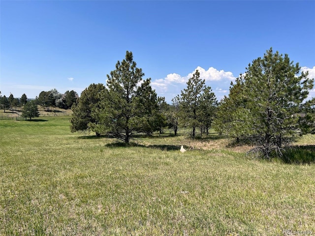 11921 Bear Creek Dr, Franktown, CO 80116 - photo 8