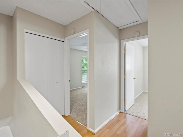 hall with carpet floors, attic access, baseboards, and wood finished floors