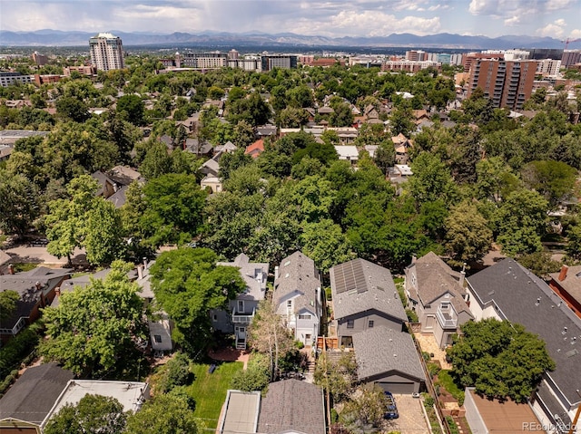 432 N Ogden St, Denver, CO 80218 - photo 48