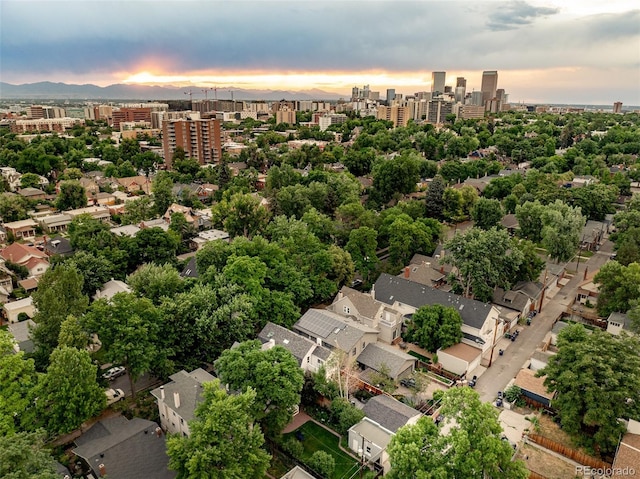 432 N Ogden St, Denver, CO 80218 - photo 49