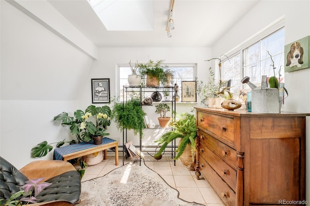 432 N Ogden St, Denver, CO 80218 - photo 32