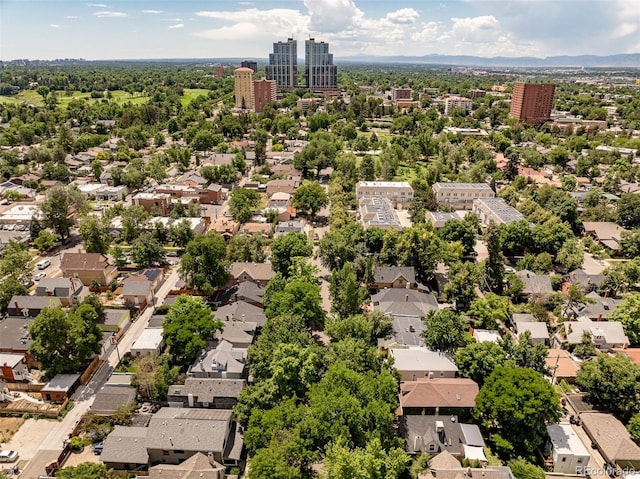 432 N Ogden St, Denver, CO 80218 - photo 47