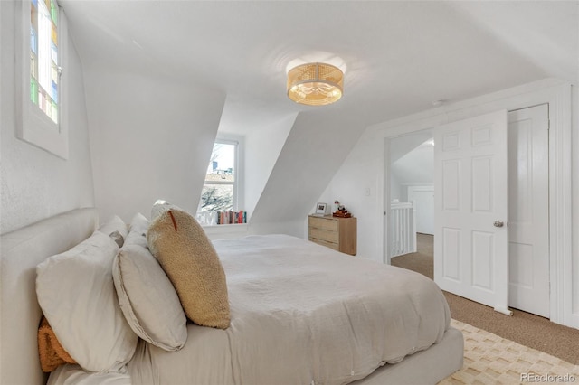 748 Elati St, Denver, CO 80204 - bedroom with carpet floors and lofted ceiling