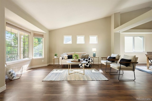 3461 Maple Cir, Brighton, CO 80601 - living area featuring lofted ceiling, plenty of natural light, baseboards, and dark wood-style flooring