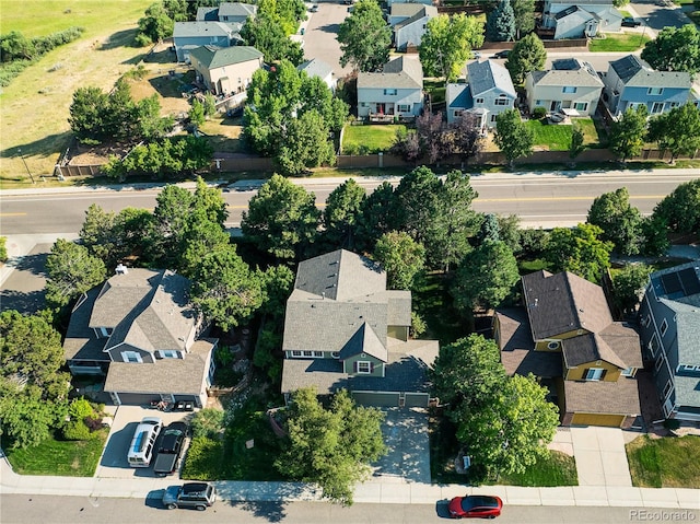 bird's eye view