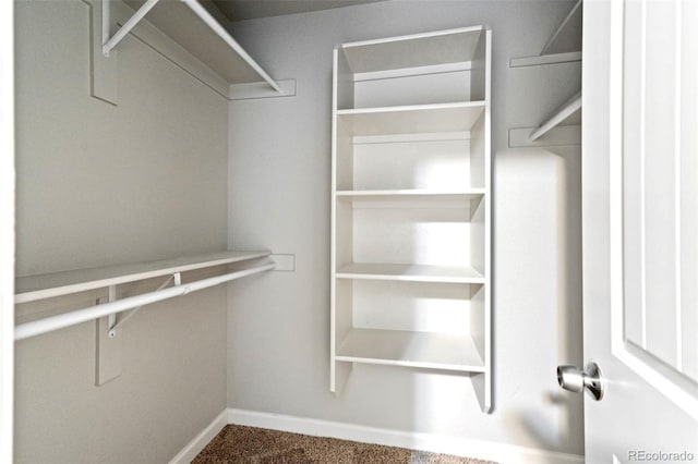 1210 Westend Ave, Colorado Springs, CO 80904 - walk in closet featuring carpet