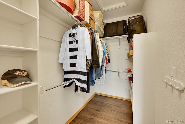 766 Chimney Creek Dr, Golden, CO 80401 - walk in closet featuring wood finished floors