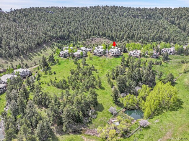766 Chimney Creek Dr, Golden, CO 80401 - view of property location with a forest