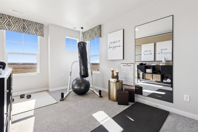 exercise room with visible vents, light carpet, and baseboards