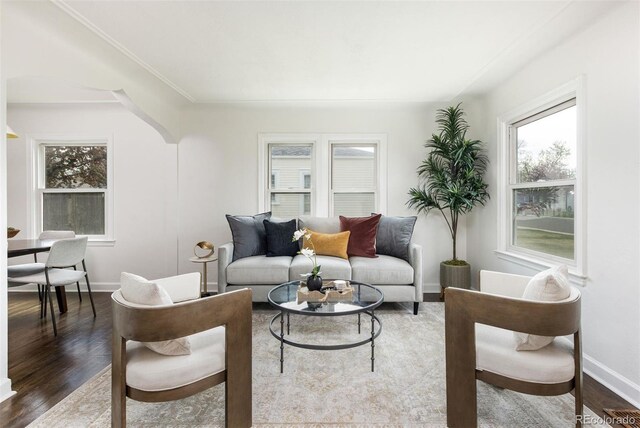 living room featuring baseboards and dark wood-style floors