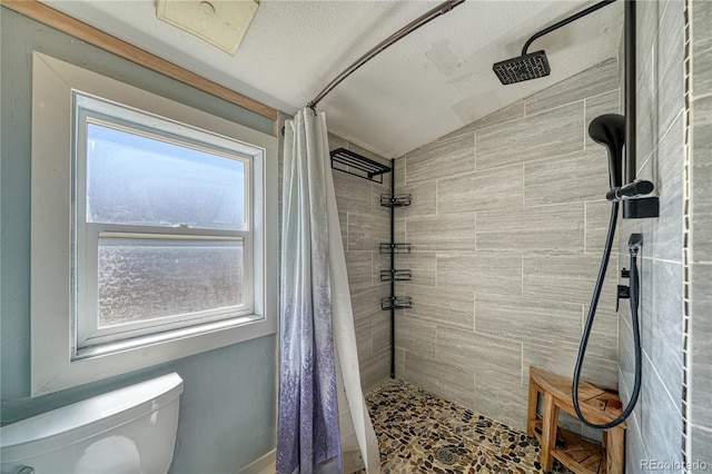 bathroom with lofted ceiling, a textured ceiling, walk in shower, and toilet