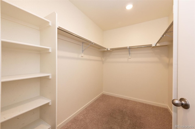 13376 Willow St, Thornton, CO 80602 - spacious closet featuring carpet floors