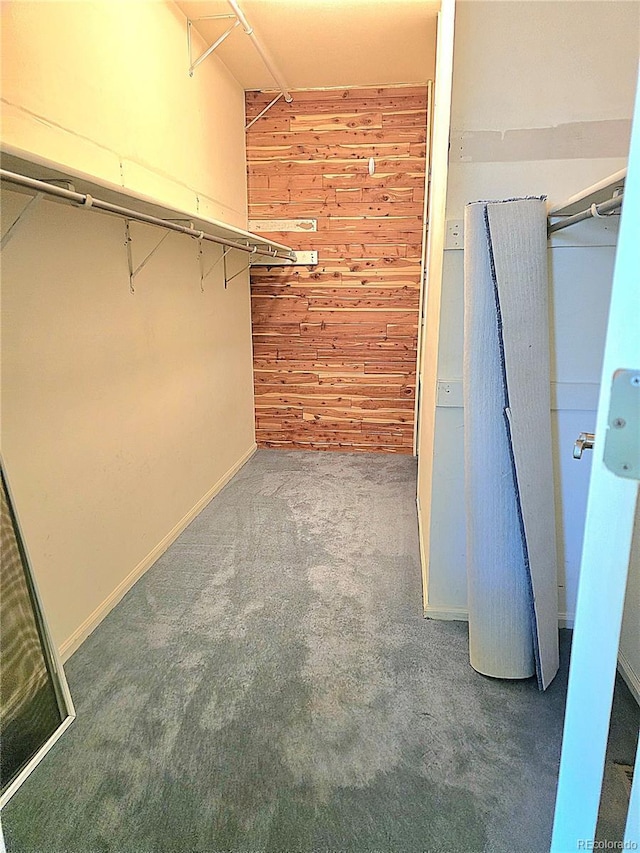 13304 E Asbury Dr, Aurora, CO 80014 - spacious closet with carpet floors