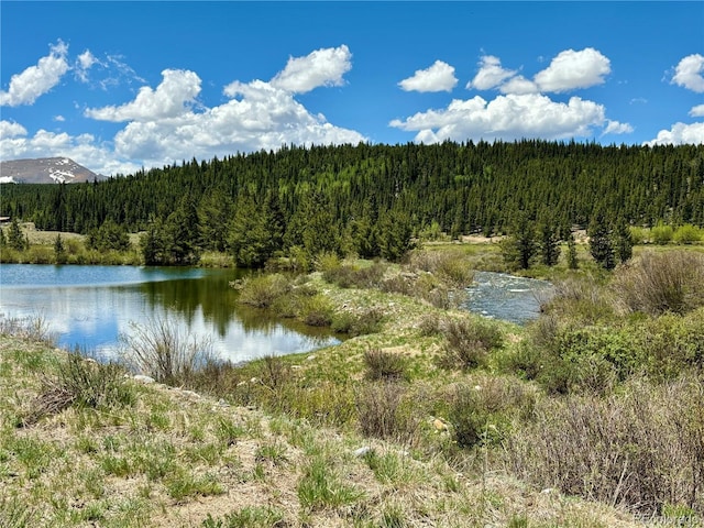 700 Cottage Grove Rd, Alma, CO 80420 - water view with a forest