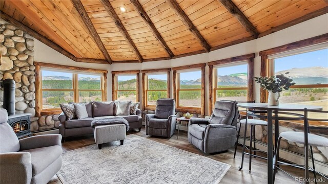 700 Cottage Grove Rd, Alma, CO 80420 - living room with wood ceiling, plenty of natural light, a mountain view, a wood stove, and wood finished floors
