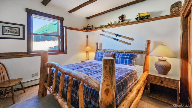 700 Cottage Grove Rd, Alma, CO 80420 - bedroom featuring carpet flooring