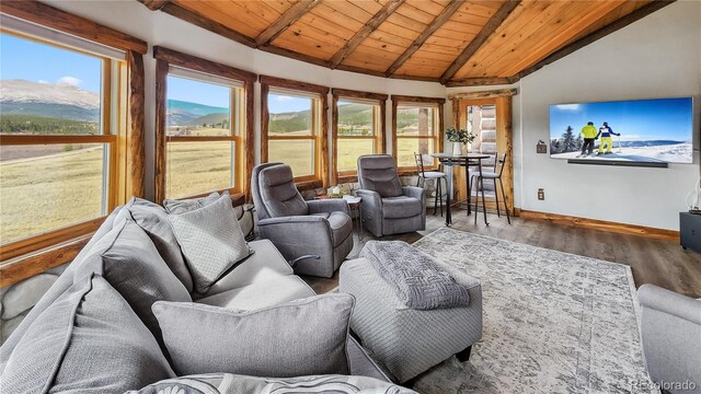 700 Cottage Grove Rd, Alma, CO 80420 - living area with wooden ceiling, wood finished floors, baseboards, plenty of natural light, and a mountain view