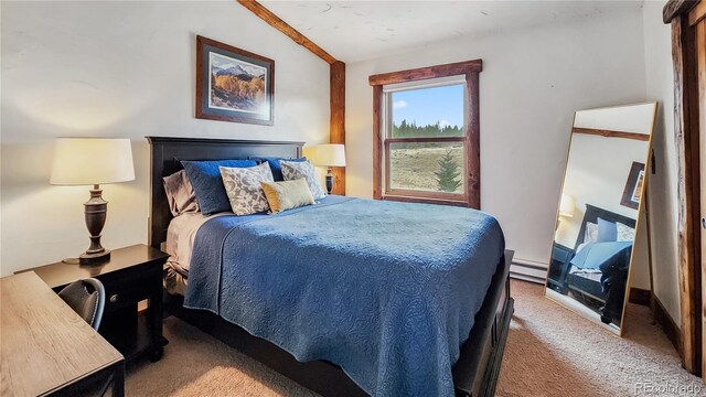 700 Cottage Grove Rd, Alma, CO 80420 - bedroom featuring carpet, vaulted ceiling, and baseboard heating