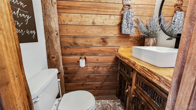 700 Cottage Grove Rd, Alma, CO 80420 - half bathroom with vanity, toilet, and wood walls