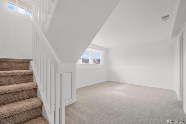 staircase featuring carpet floors