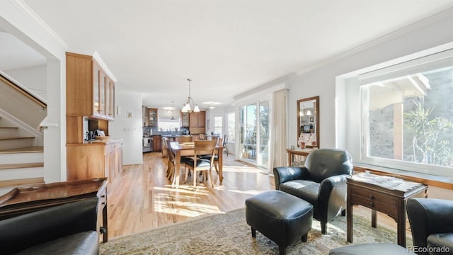 dining area with crown molding, a chandelier, and light wood-type flooring