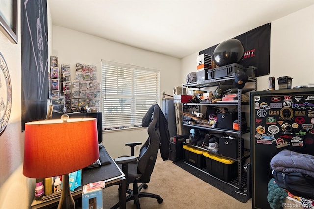 6963 Maram Way, Fountain, CO 80817 - office space featuring carpet flooring