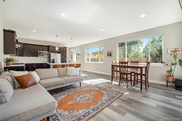 living room with light hardwood / wood-style floors