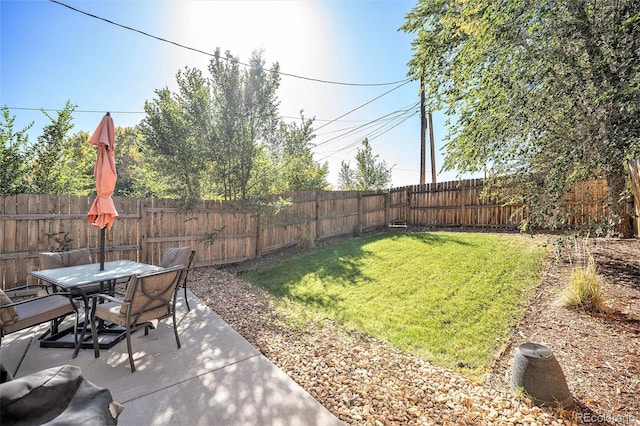 view of yard featuring a patio area